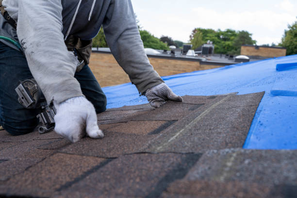 Best Metal Roofing Installation  in Union City, OH